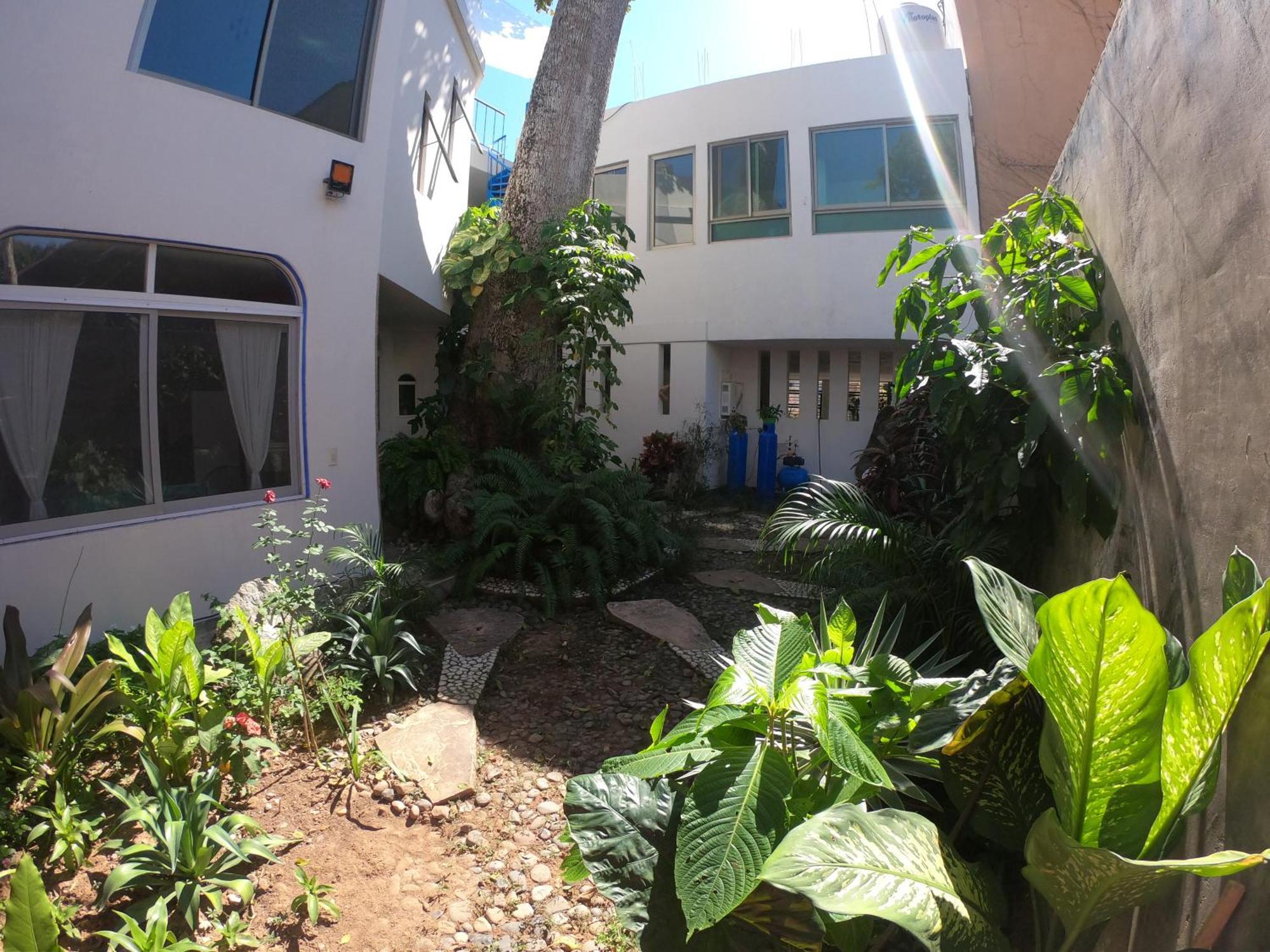 Casa Arbol De Paz Habitacion Doble Chacala  Eksteriør bilde