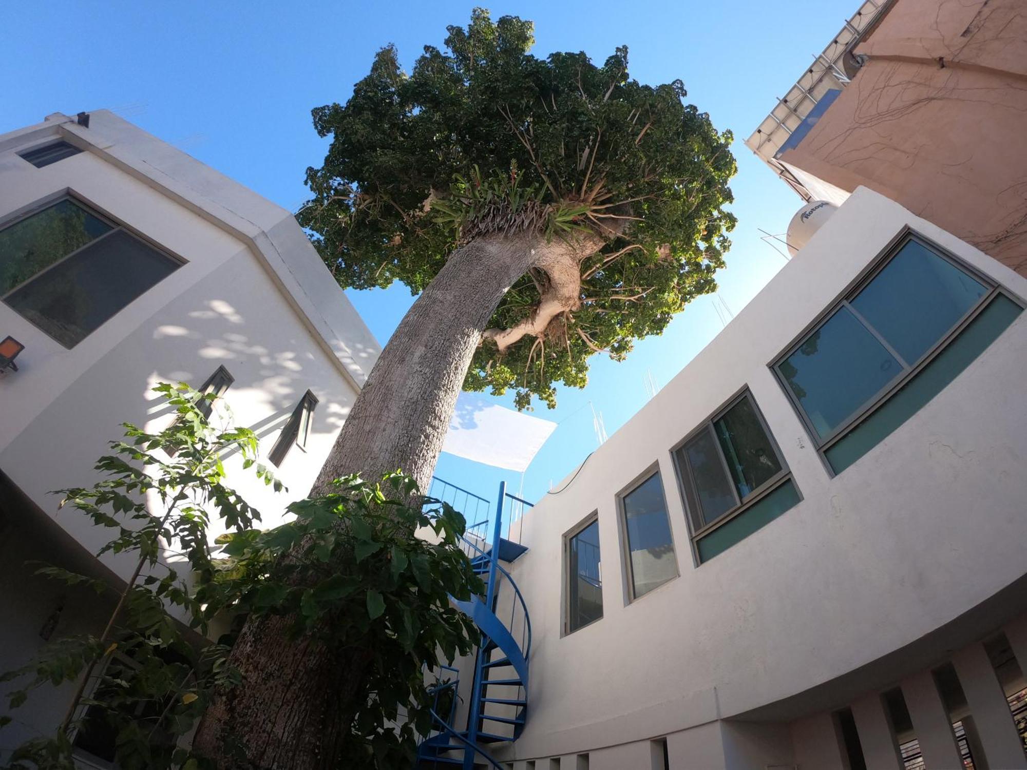 Casa Arbol De Paz Habitacion Doble Chacala  Eksteriør bilde